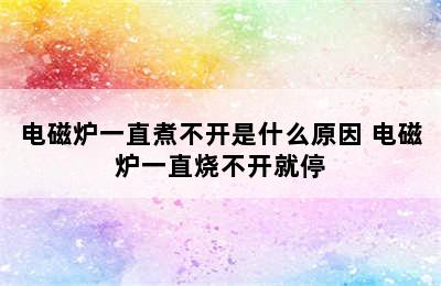 电磁炉一直煮不开是什么原因 电磁炉一直烧不开就停